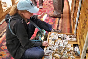 Picture of woman viewing fossils